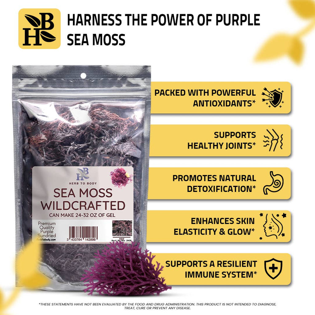Wildcrafted Purple Sea Moss from Caribbean - 4oz 5 month supply