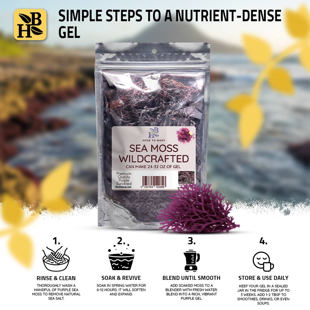 Wildcrafted Purple Sea Moss from Caribbean - 4oz 5 month supply