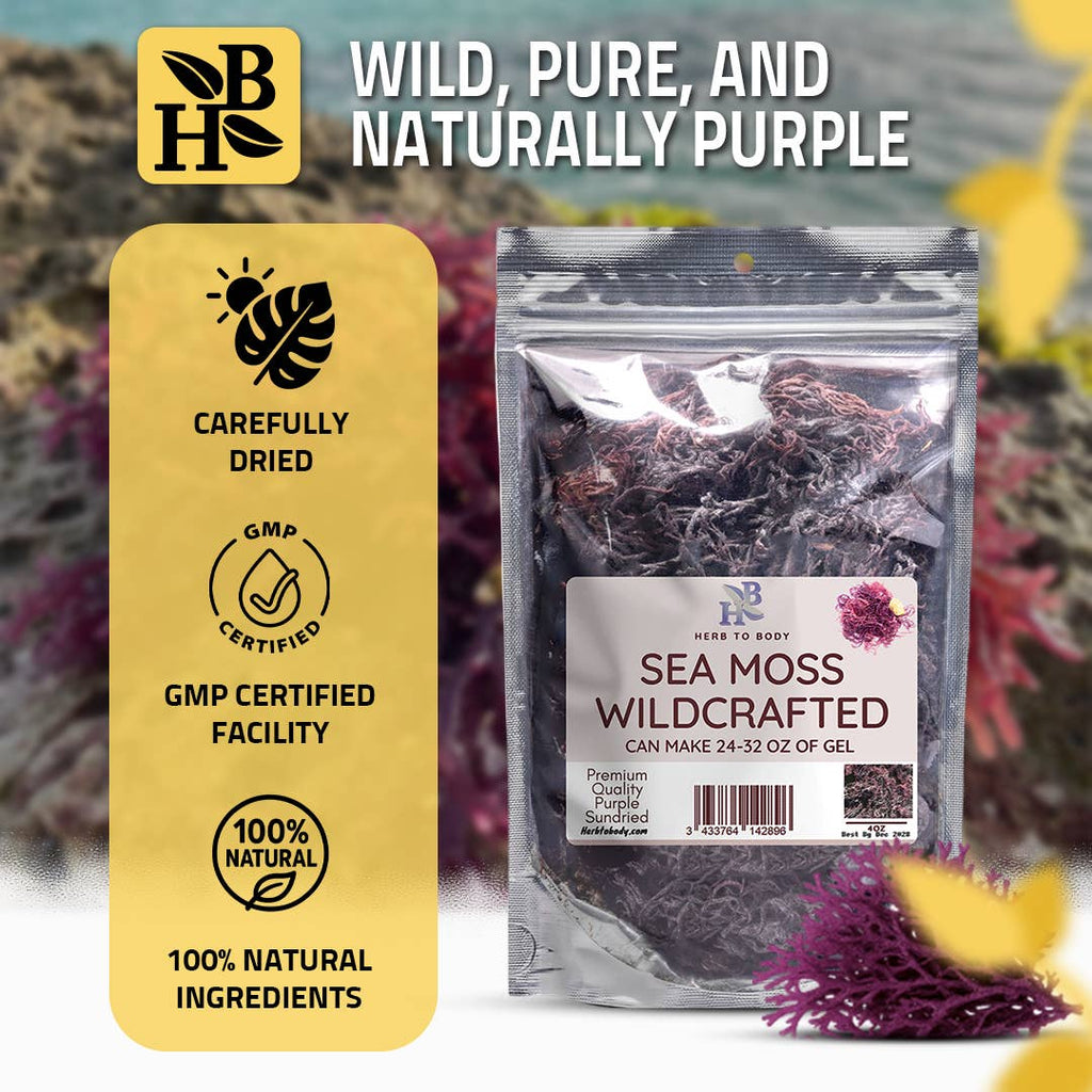 Wildcrafted Purple Sea Moss from Caribbean - 4oz 5 month supply