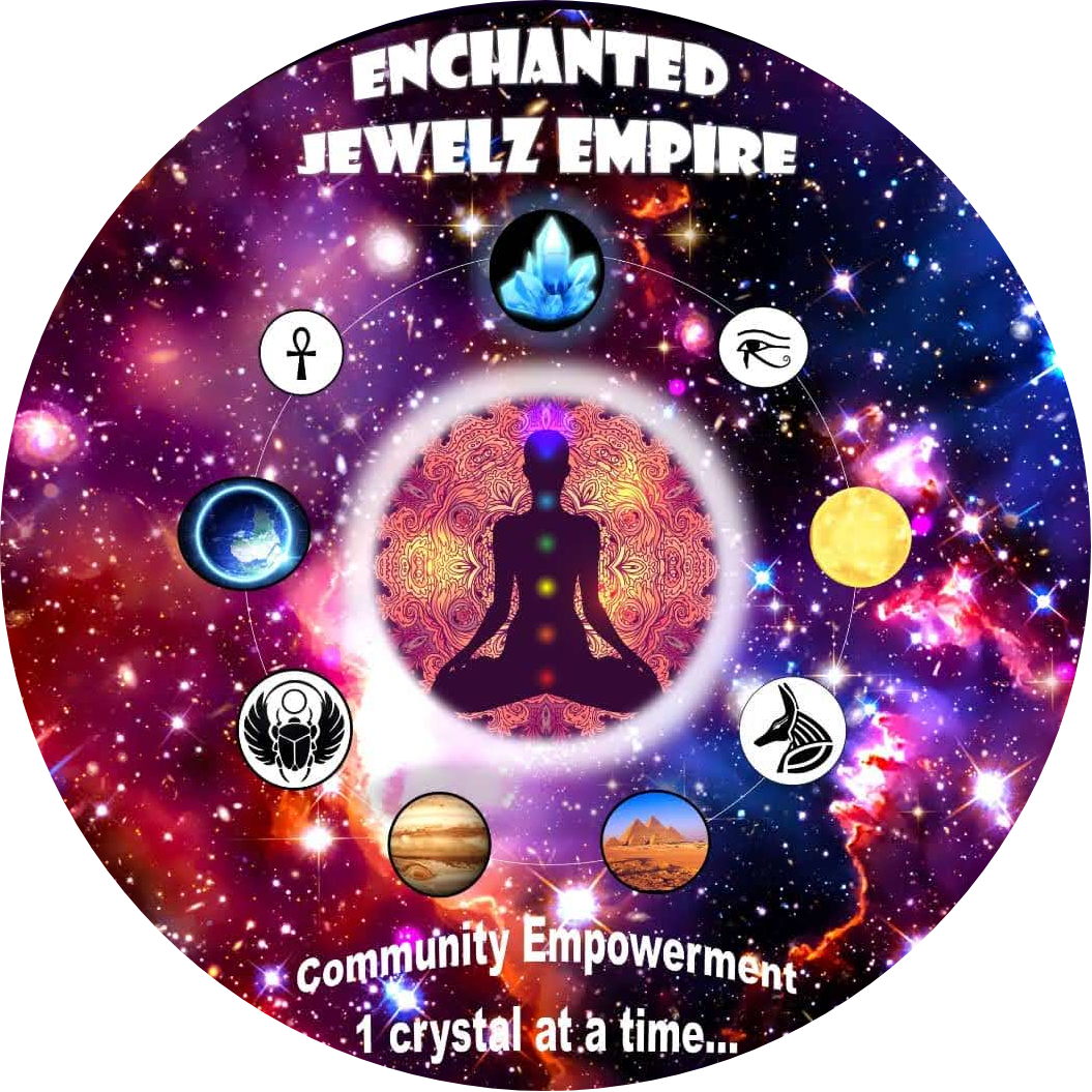 Contest Winners & Paid Orders