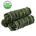 Mugwort bundle at Enchanted Jewelz Empire Metaphysical Store in Ft Lauderdale South Florida Broward