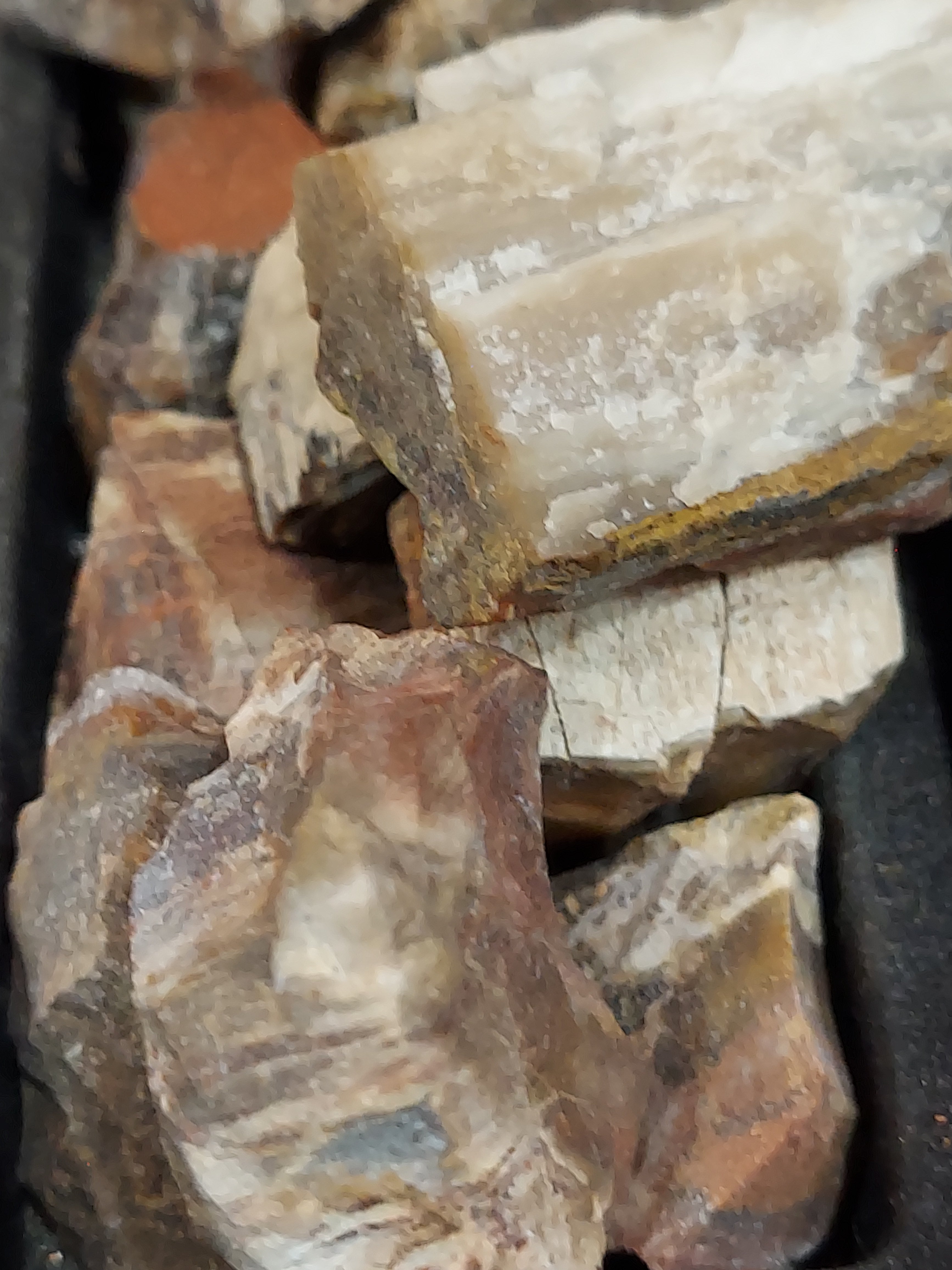 1 Petrified Wood Stone, appx 1.5"