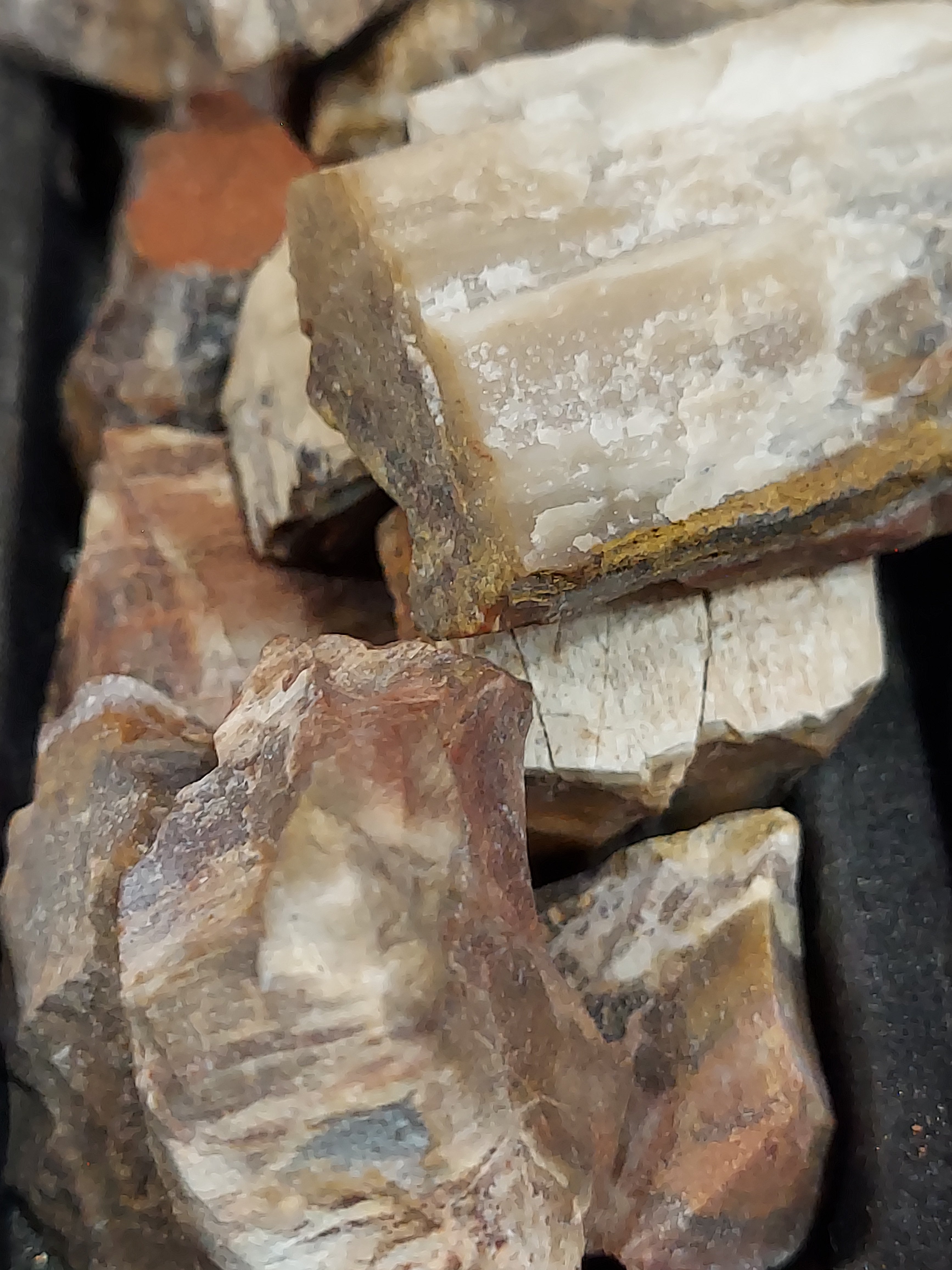 1 Petrified Wood Stone, appx 1.5"
