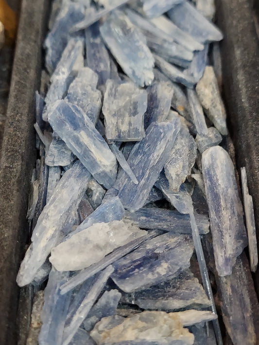 1 Blue Kyanite Crystal. Appx 2"