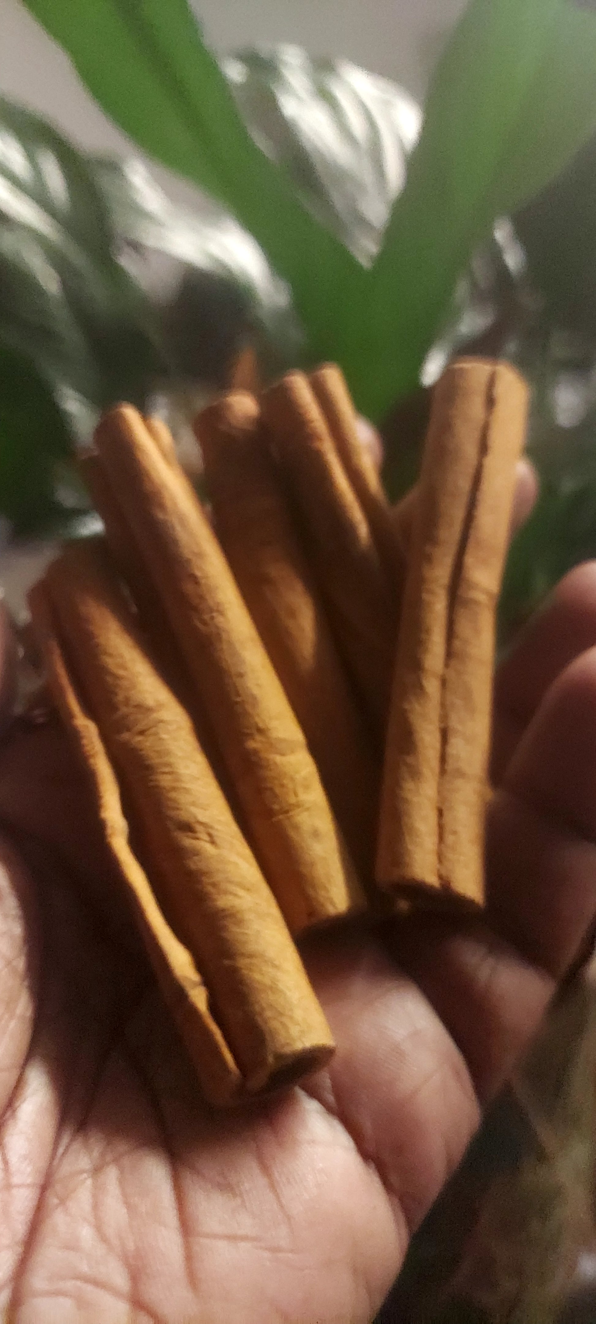 Wealth affirmations cinnamon smudging